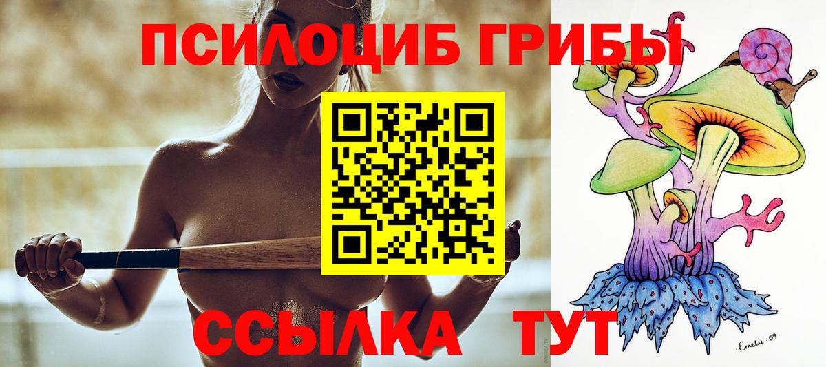 Псилоцибиновые грибы Psilocybine cubensis  Вход с VPN  Похвистнево 